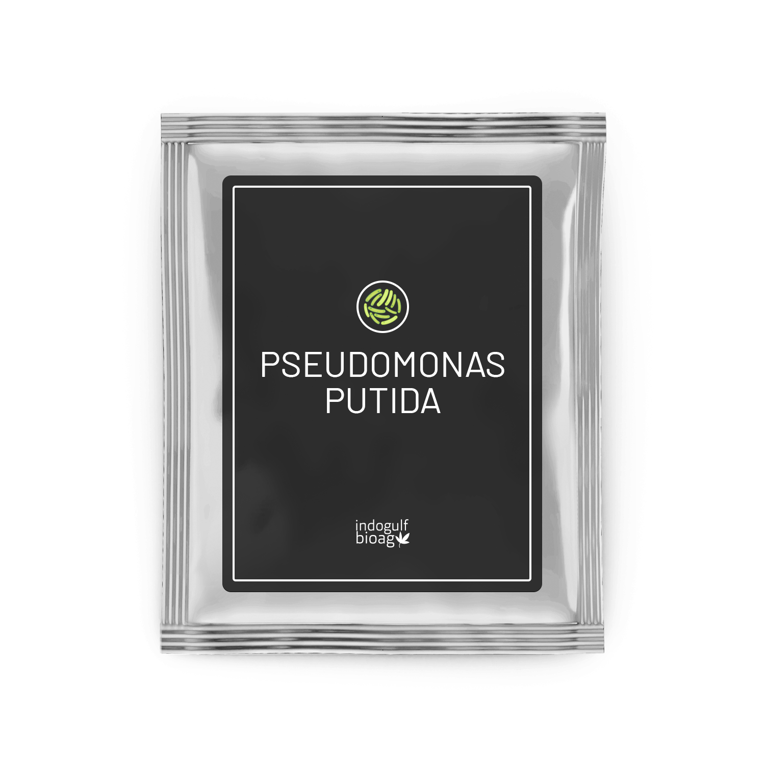 Pseudomonas putida Manufacturer & Exporter | Phosphorous